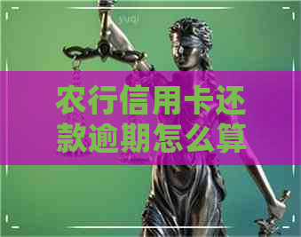 农行信用卡还款逾期怎么算