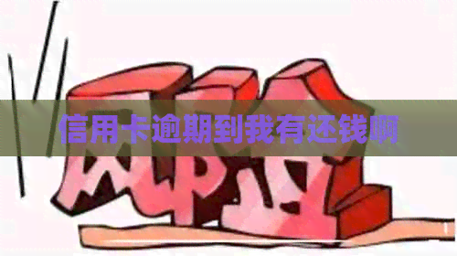 信用卡逾期到我有还钱啊