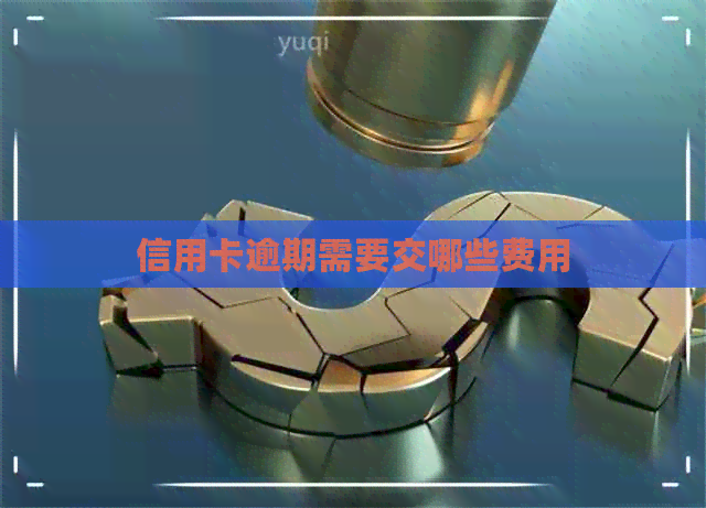信用卡逾期需要交哪些费用