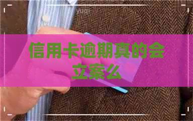 信用卡逾期真的会立案么