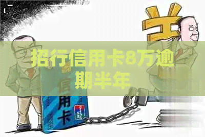 招行信用卡8万逾期半年