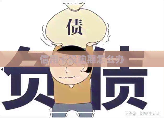 信用卡没逾期怎么办
