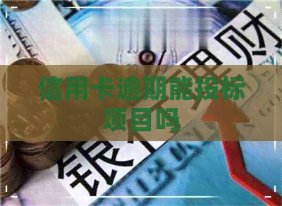 信用卡逾期能投标项目吗