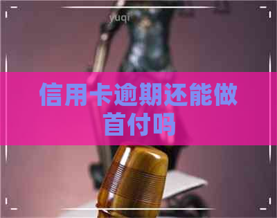 信用卡逾期还能做首付吗