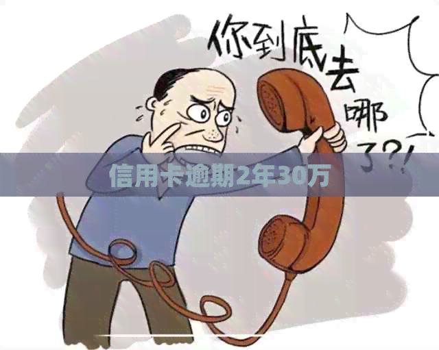 信用卡逾期2年30万