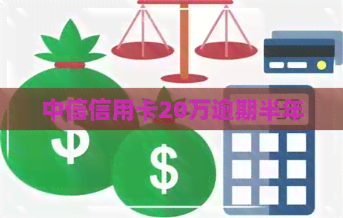 中信信用卡20万逾期半年