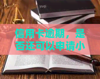信用卡逾期，是否还可以申请小网贷？