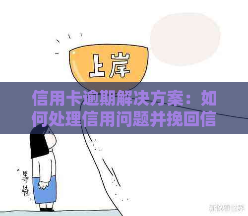 信用卡逾期解决方案：如何处理信用问题并挽回信用评分？
