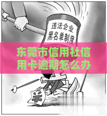 东莞市信用社信用卡逾期怎么办
