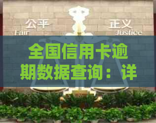 全国信用卡逾期数据查询：详细步骤与影响分析