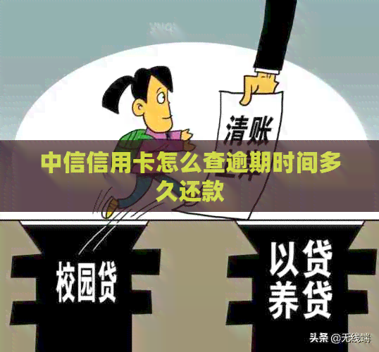 中信信用卡怎么查逾期时间多久还款