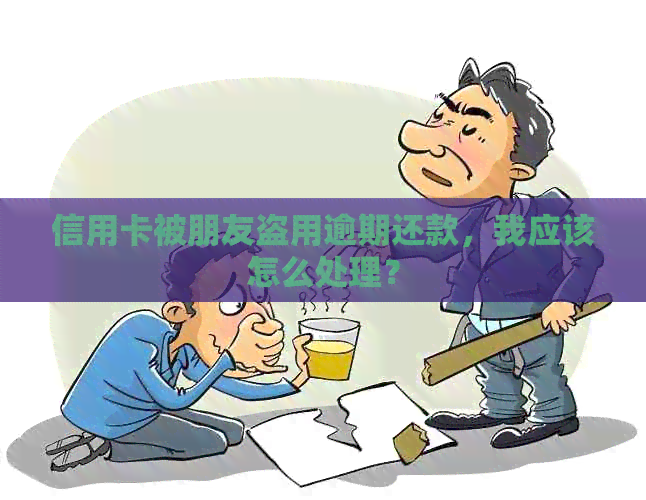 信用卡被朋友盗用逾期还款，我应该怎么处理？