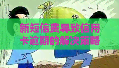 新短信费导致信用卡逾期的解决策略与预防措