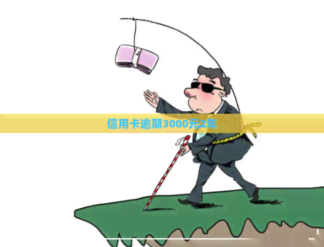 信用卡逾期3000元2年