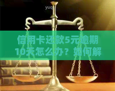 信用卡还款5元逾期10天怎么办？如何解决？