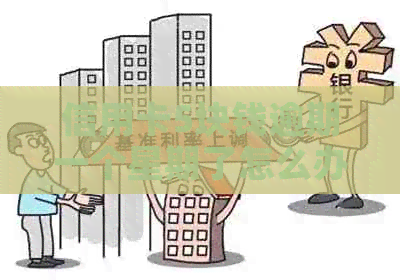 信用卡5块钱逾期一个星期了怎么办-信用卡5块钱逾期一个星期了怎么办呢