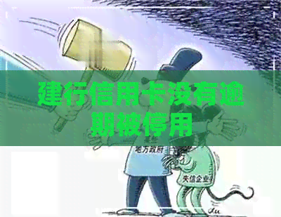 建行信用卡没有逾期被停用