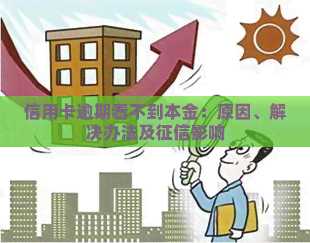 信用卡逾期看不到本金：原因、解决办法及影响