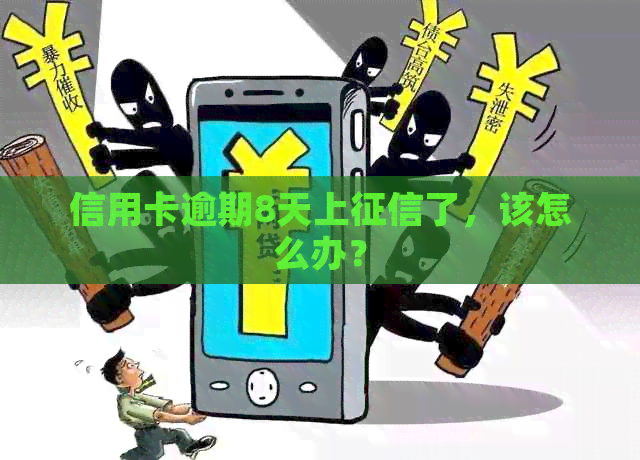 信用卡逾期8天上了，该怎么办？
