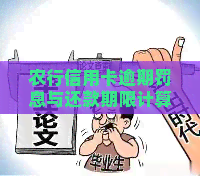 农行信用卡逾期罚息与还款期限计算方法详解