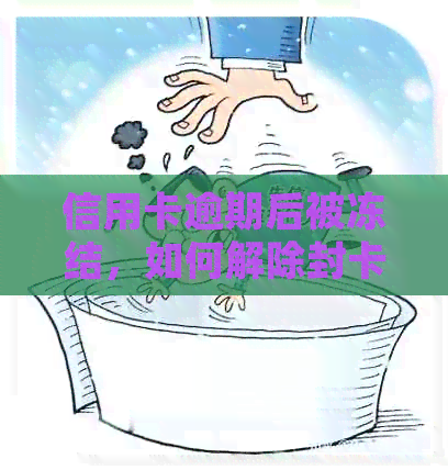 信用卡逾期后被冻结，如何解除封卡状态并恢复信用？全面解决方案一览