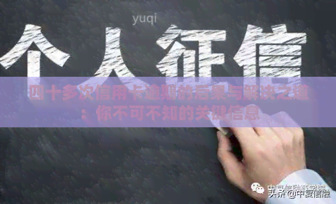 四十多次信用卡逾期的后果与解决之道：你不可不知的关键信息