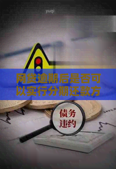 网贷逾期后是否可以实行分期还款方案？