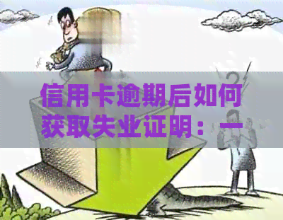 信用卡逾期后如何获取失业证明：一份详细指南