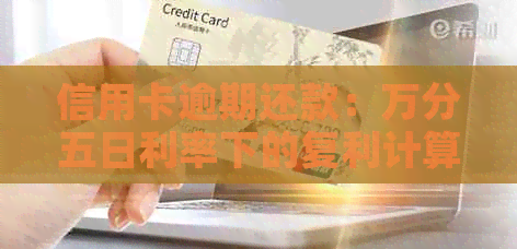 信用卡逾期还款：万分五日利率下的复利计算与一个月利息解析