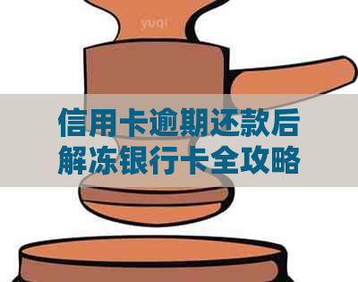 信用卡逾期还款后解冻银行卡全攻略：步骤、时间、影响及预防措一应俱全