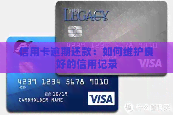 信用卡逾期还款：如何维护良好的信用记录