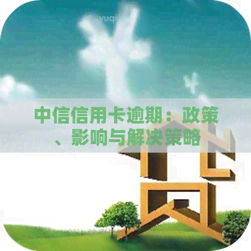 中信信用卡逾期：政策、影响与解决策略