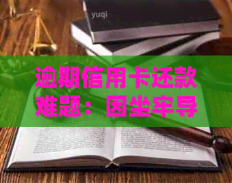 逾期信用卡还款难题：因坐牢导致信用危机应对策略