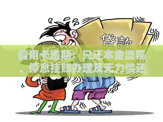 信用卡逾期：只还本金流程、停息挂账办理及无力偿还解决办法