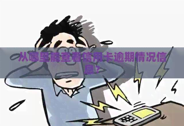 从哪里能查看信用卡逾期情况信息？