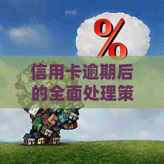 信用卡逾期后的全面处理策略：从预防到解决，让你的信用恢复如初