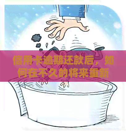 信用卡逾期还款后，如何在不久的将来重新启用建设银行信用卡？