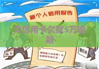 欠信用卡欠款5万逾期