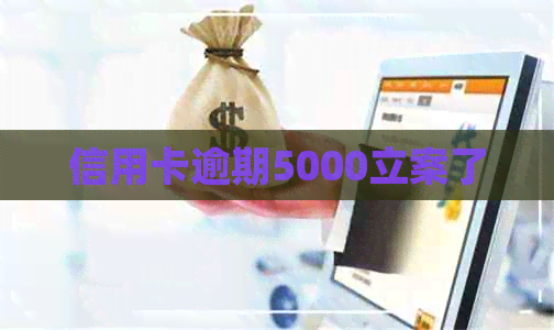 信用卡逾期5000立案了