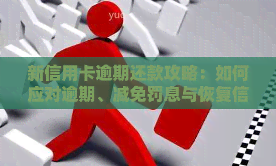 新信用卡逾期还款攻略：如何应对逾期、减免罚息与恢复信用？