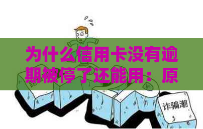 为什么信用卡没有逾期被停了还能用：原因与影响-为什么信用卡没有逾期被停了?