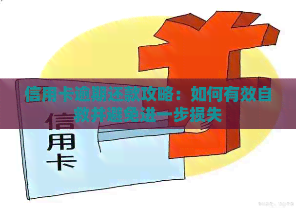 信用卡逾期还款攻略：如何有效自救并避免进一步损失