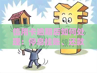 信用卡逾期后如何处理：停息挂账、还款攻略及解决方案全面解析