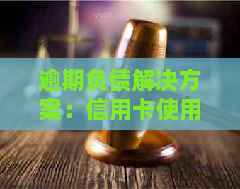 逾期负债解决方案：信用卡使用指南与模板
