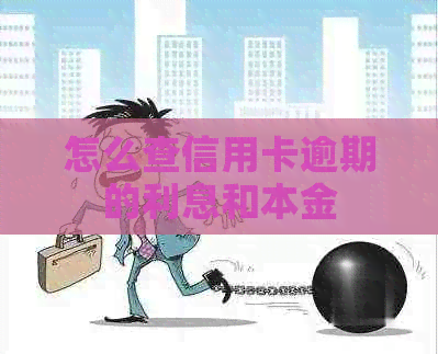 怎么查信用卡逾期的利息和本金