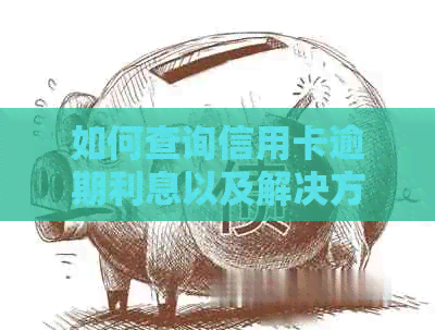 如何查询信用卡逾期利息以及解决方案，全面解答用户疑问