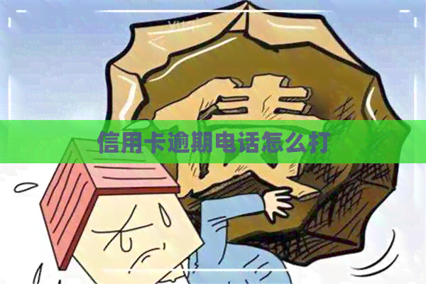信用卡逾期电话怎么打