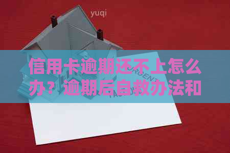 信用卡逾期还不上怎么办？逾期后自救办法和影响分析