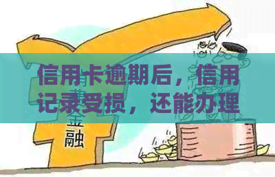 信用卡逾期后，信用记录受损，还能办理新信用卡吗？问题全面解答