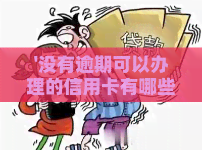 '没有逾期可以办理的信用卡有哪些类型与额度'